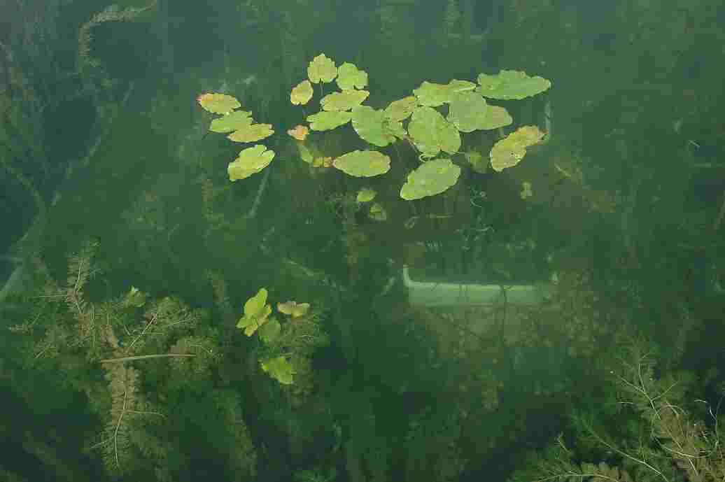 案例展示三(图1)