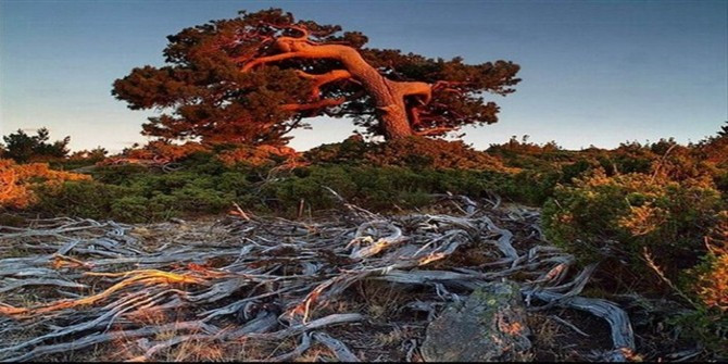 英超切尔西4-0曼联 佩德罗30秒闪击阿扎尔破门_bsports必一