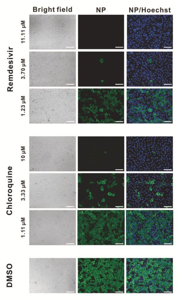 必一·体育:新华区青少年法制教育基地成为师生学法好平台(图1) 必一·体育