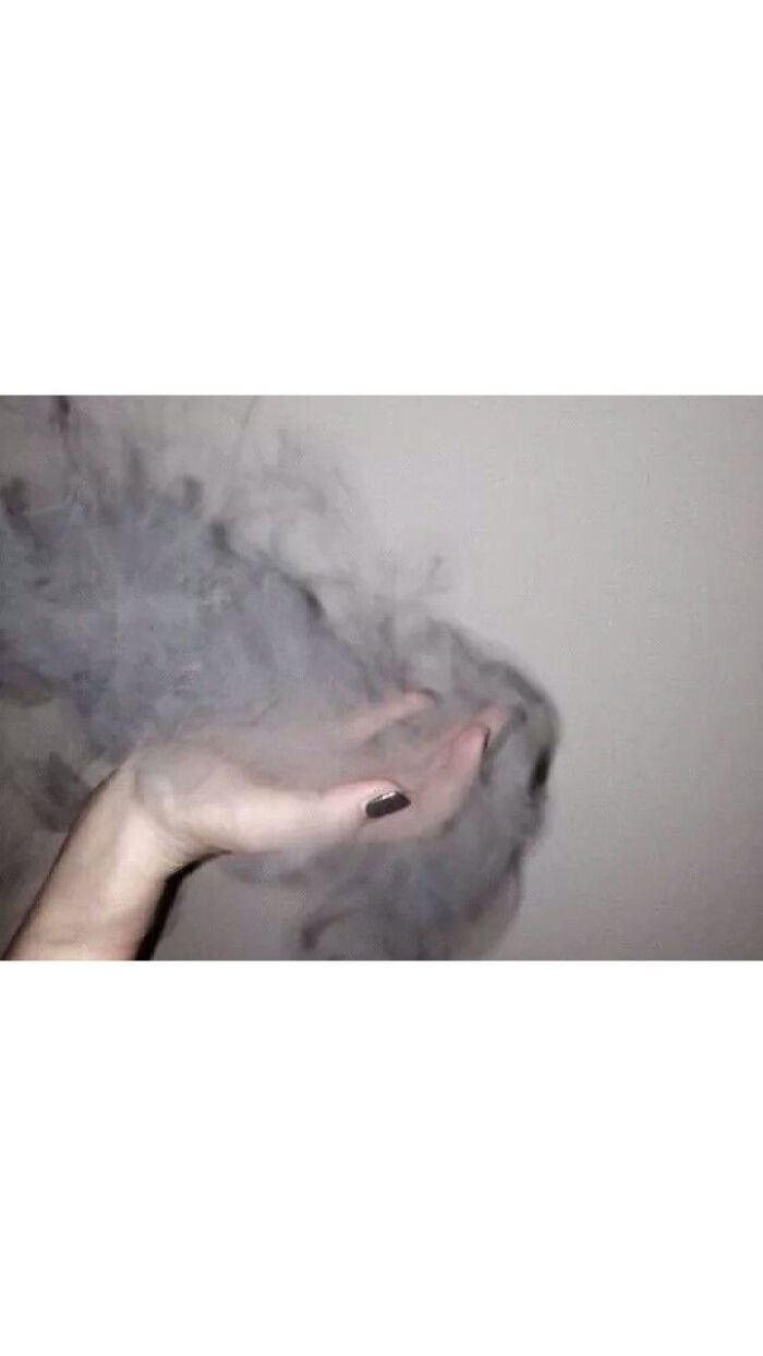 西班牙蔬菜牛肉汤的做法_bsport必一运动(图3) bsport必一运动