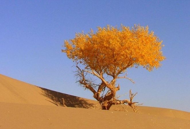 方城县博望镇教育系统举办文艺汇演活动:bsports必一(图1) 必一·体育