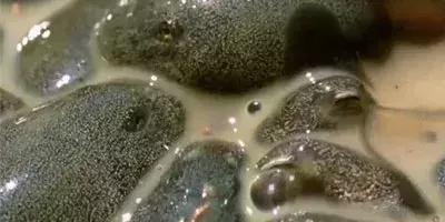 ‘bsports必一’互联互通,联结世界,通向繁荣(图2) bsports必一