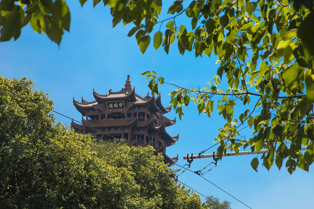 大华股份等3只股票狂涨50%11只基金“火”了-bsport必一运动(图3) bsports必一