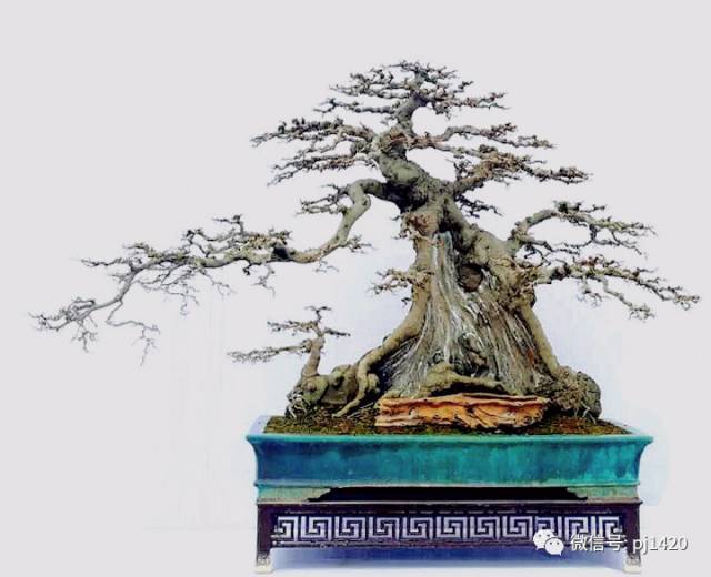 柯洁20岁生日快乐!四冠在手战AlphaGo 传奇刚上路‘bsport必一运动’(图3) bsports必一